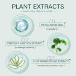 LAIKOU Tea Tree Mud Mask- 12pcs(5gm Per Pcs) - Image 5